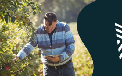 Eucalipto tratado na agricultura e silvicultura