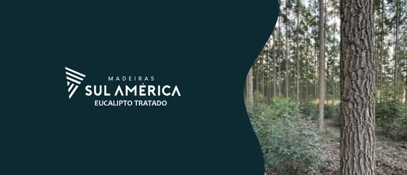 Eucalipto tratado e sustentabilidade ambiental na construção