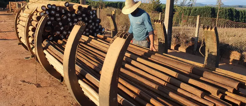 Importância do tratamento da madeira realizado na madeireira Sul América