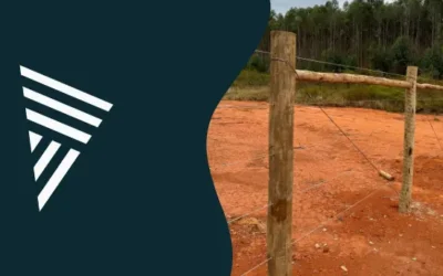 Como escolher o eucalipto tratado para cerca rural?