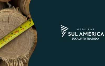 O que é bitola de eucalipto? Saiba a sua importância