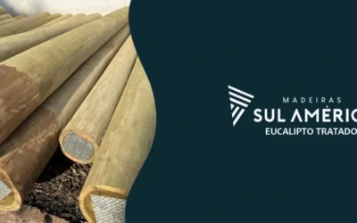 Eucalipto comum e eucalipto tratado: qual escolher?