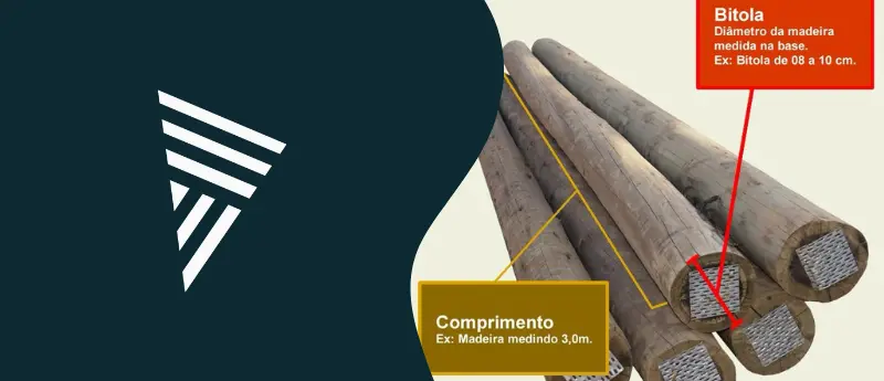 O que é bitola de eucalipto Saiba a sua importância na Madeiras Sul América