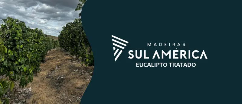 Entre em contato com a Madeiras Sul América e saiba mais sobre as Estacas de eucalipto no cultivo de pimenta-do-reino no ES