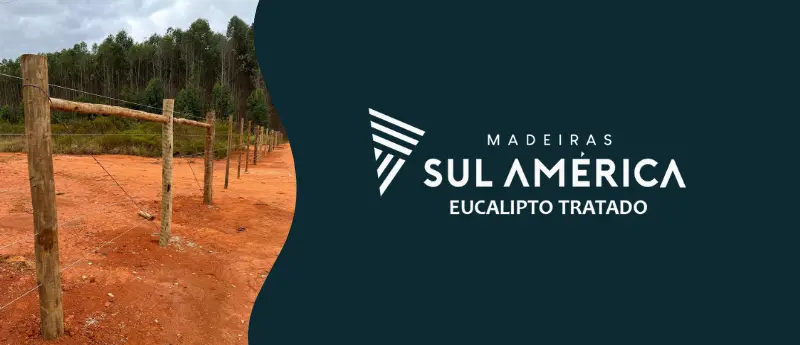 Importância da escolha da bitola de eucalipto para esticador de cerca