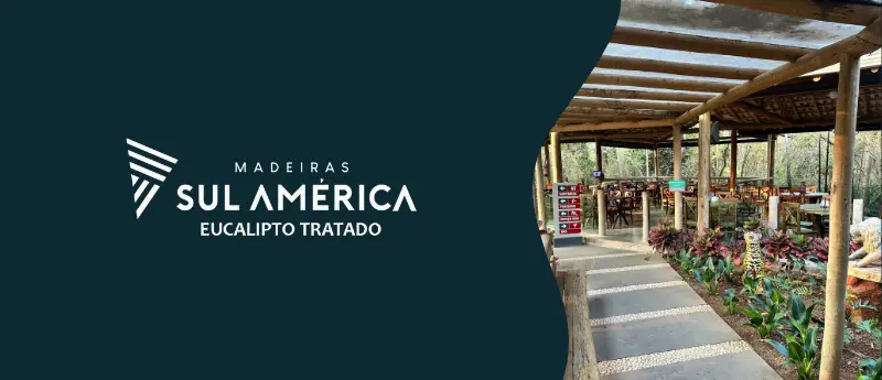 O que é um pergolado de eucalipto e por que ele se destaca?