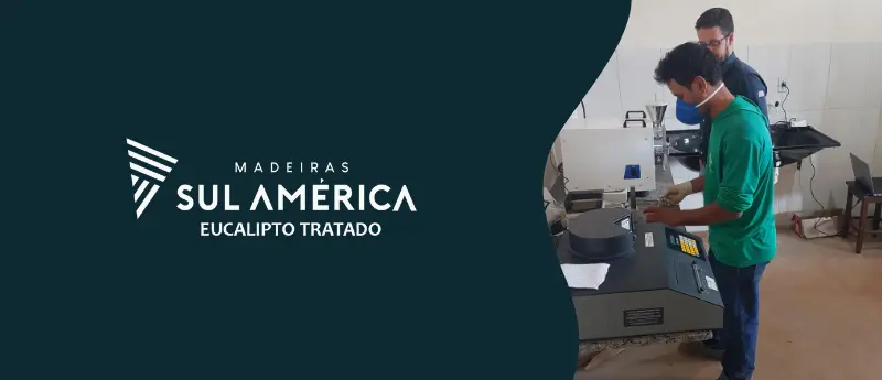 Descubra a durabilidade da madeira de eucalipto tratado em solo na madeiras sul américa