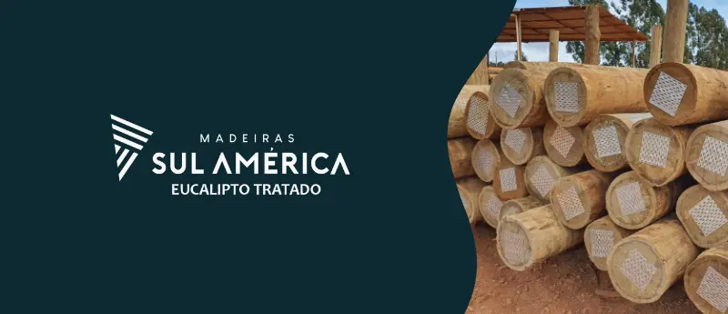 Eucalipto Tratado para Revenda: Introdução à Oportunidade de Negócio