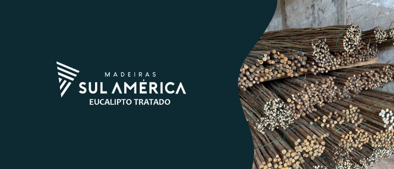 Biriba de eucalipto