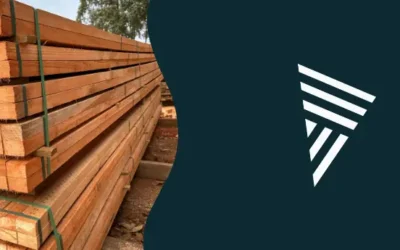 Ripas de Eucalipto: aplicações criativas
