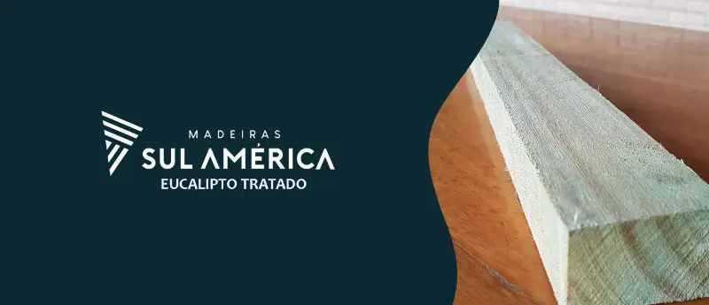 Ripas de Eucalipto aplicações criativas