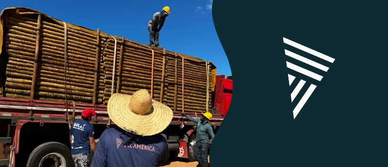 Vantagens exclusivas da Madeiras Sul América Distribuidora de eucalipto tratado com sede em Minas Gerais