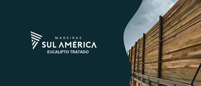 tábuas de eucalipto