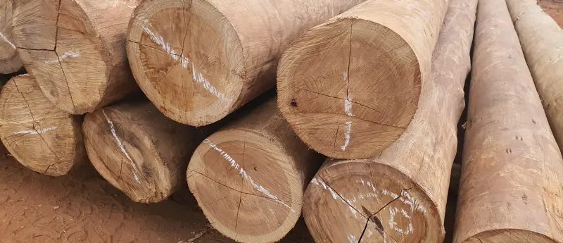 Descubra Pra que serve um palanque para curral na Madeiras Sul América