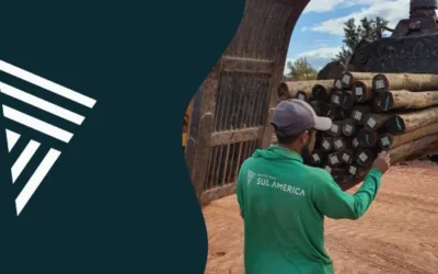Eucalipto tratado direto da fábrica: procedência e qualidade