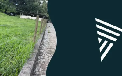 Lascas para cercas e piquetes: resistência e economia