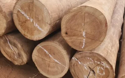 Mourão de eucalipto: resistência, economia e qualidade