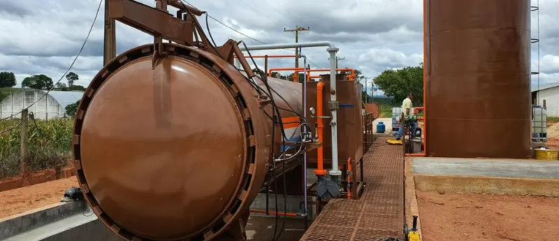 A importância do tratamento da madeira em autoclave na Madeiras Sul América