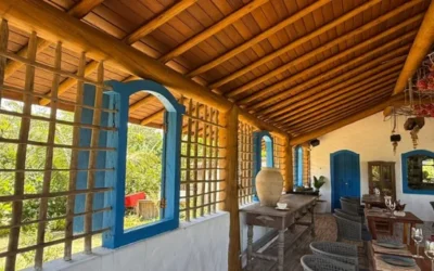 Eucalipto cloeziana na construção civil: por que utilizar?