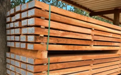 Viga de eucalipto: qualidade e custo-benefício no atacado