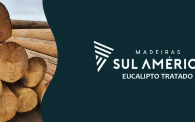 Eucalipto cloeziana direto da fábrica para sua obra