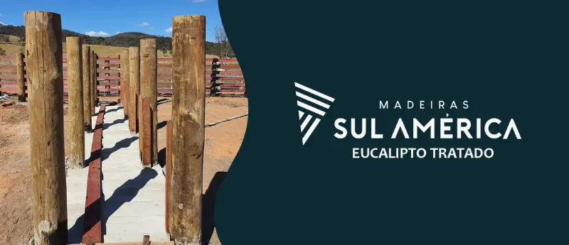 Eucalipto tratado para curral na Madeiras Sul América