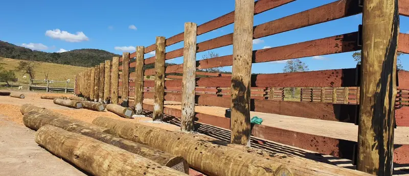 Por que escolher eucalipto tratado para curral?