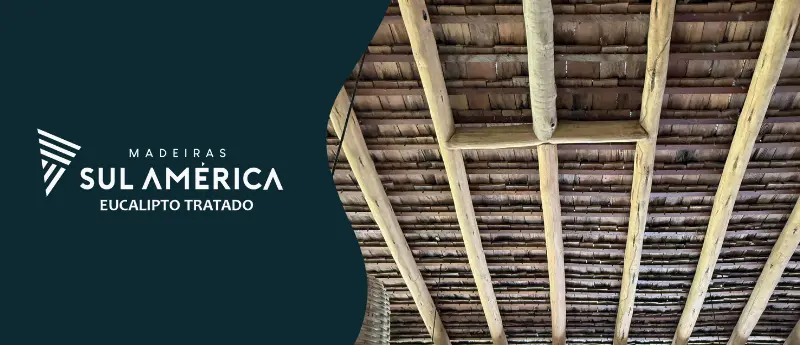 Ripas de eucalipto tratado no atacado