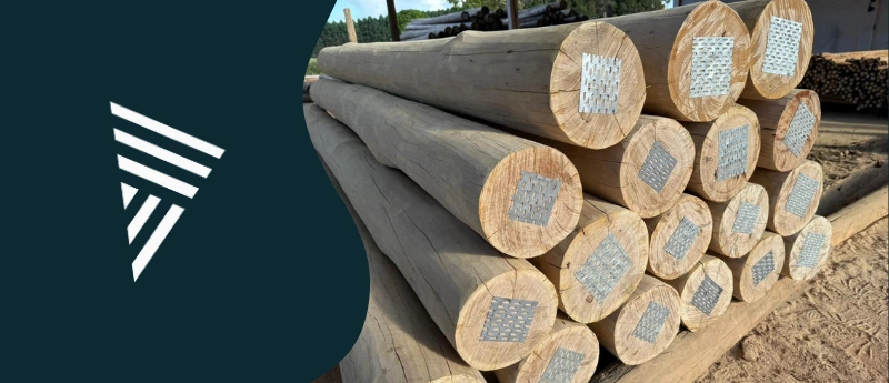 Palanque de eucalipto tratado no atacado