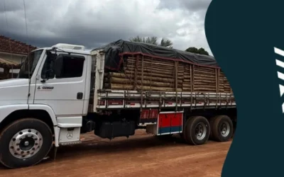 Fábrica de eucalipto tratado: como comprar direto da usina?