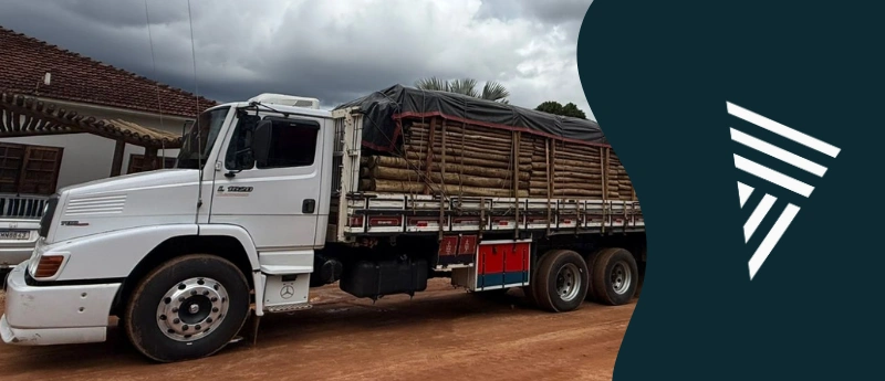 Fábrica de eucalipto tratado: como comprar direto da usina?