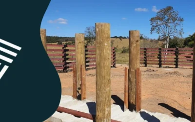 Estaca de eucalipto tratado para confinamento de gado