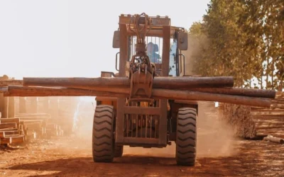 Postes de eucalipto não são todos iguais: saiba escolher