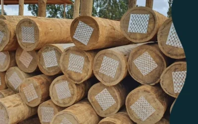 Mourões para curral: durabilidade, segurança e economia