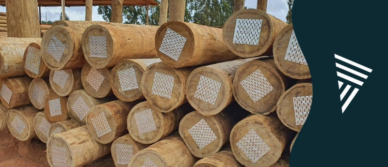 Mourões para curral: durabilidade, segurança e economia