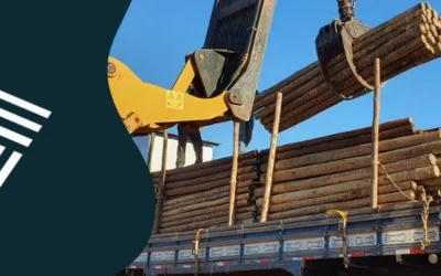 Estacas de eucalipto tratado: o que define a durabilidade