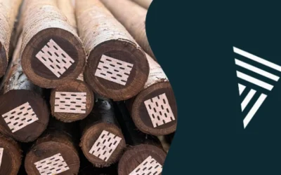 Postes de eucalipto não são todos iguais: saiba escolher