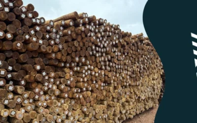 Estaca para cerca rural  é com a Madeiras Sul América