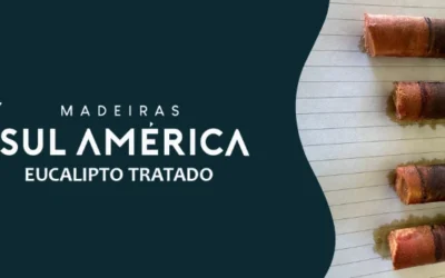 Tratamento de madeira: durabilidade real ou só marketing?