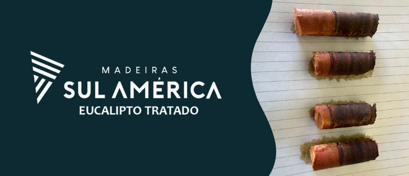 Tratamento de madeira: durabilidade real ou só marketing?