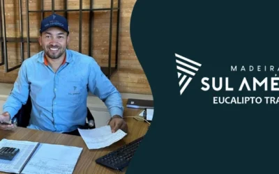 Orçamento de eucalipto tratado: compare sem riscos