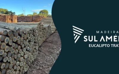 Eucalipto ou Pinus para cerca? Comparação técnica definitiva