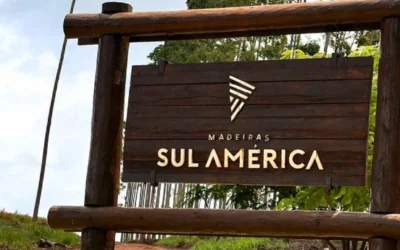 Eucalipto tratado em Capelinha-MG: Madeiras Sul América